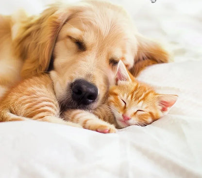 Dog and Cat Paw Trimmer