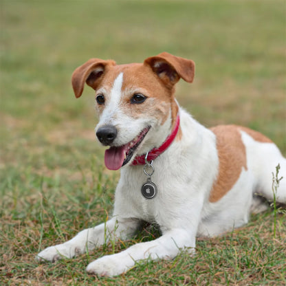 Waterproof Air Tag Case for Dogs and Cats
